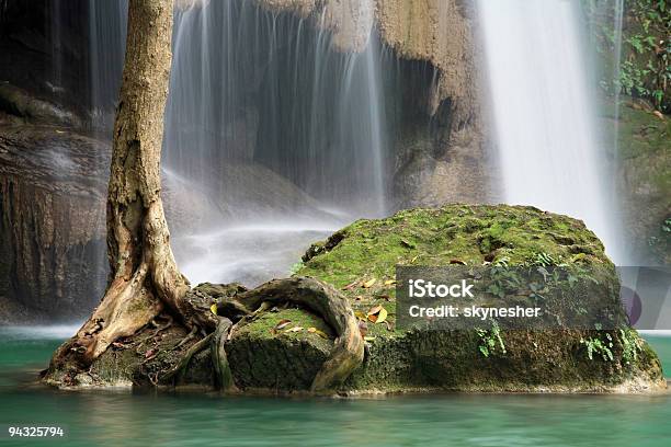 Photo libre de droit de Cascades Peu Profond À Leau banque d'images et plus d'images libres de droit de Arbre - Arbre, Baie - Partie d'une plante, Beauté de la nature