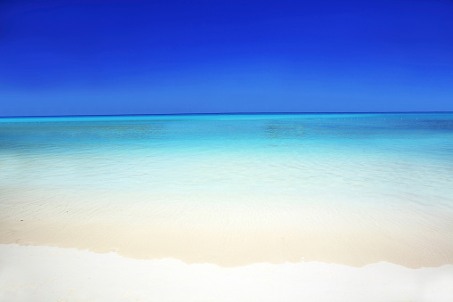 Caribbean beach with calm and turquoise waters. Bright blue cloudless sky