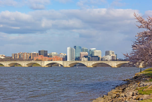 Washington DC panorama during cherry blossom festival.