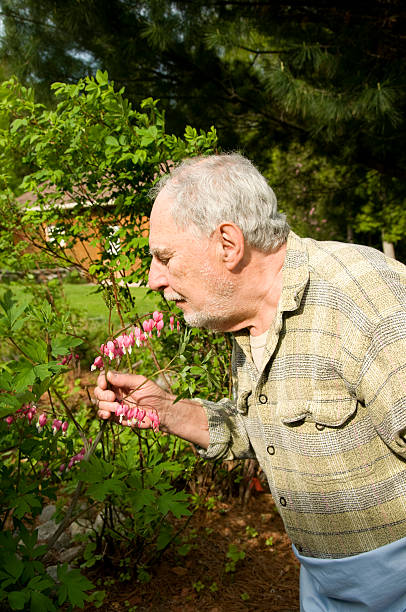 istock baby boomer gardener 94326579