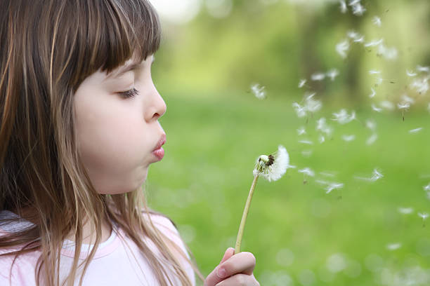istock Little girl blowing dandelion. 94326604