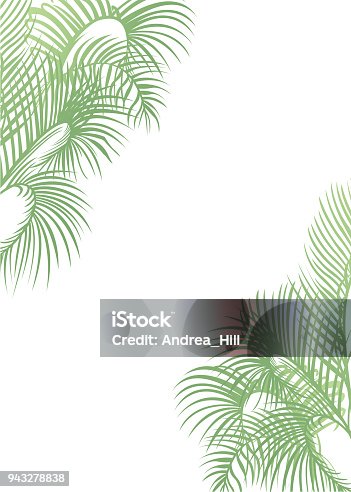 istock Tropical Design Template or Border With Palm Leaves 943278838