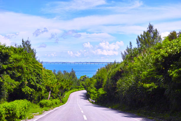 Miyakojima in summer. The way to the sea of Irabujima