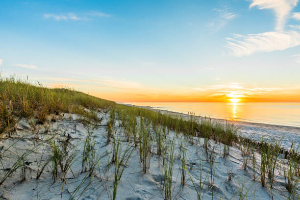 istock Sandy beach and sunset sky with golden sun shining on white sand 943279226