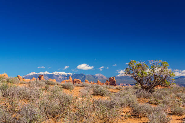istock Scenery in the Arches National Park, Utah, with Mesa Arch under warm sunrise light 943289716