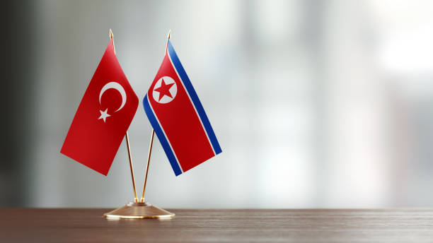 istock Turkish And North Korean Flag Pair On A Desk Over Defocused Background 943290336