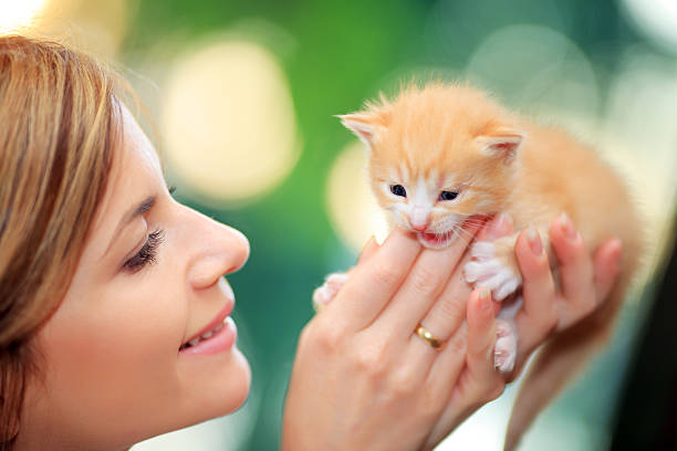 istock Happy girl hugging her cute cat. 94329424