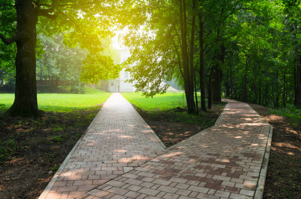 Perspective view of two cobblestone roads thinking deciding hoping for best taking chance - one of the road has an ancient park bench