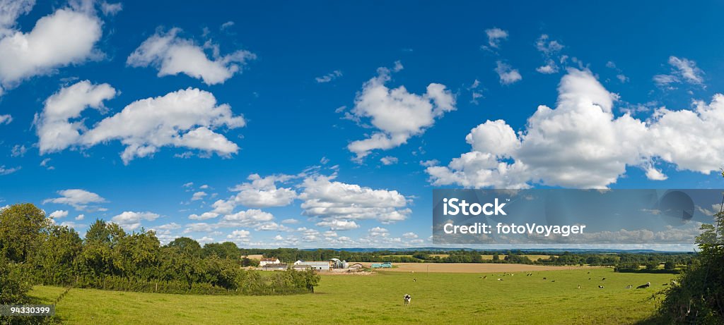 Wielkie Niebo nad farm i Pole - Zbiór zdjęć royalty-free (Cumulus)