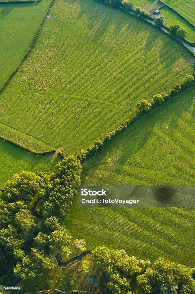 Abstrato aérea, bosques e pasto - Foto de stock de Reino Unido royalty-free