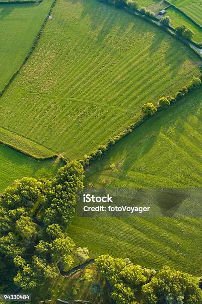 Foto de Abstrato Aérea Bosques E Pasto e mais fotos de stock de Reino Unido - Reino Unido, Vista Aérea, Cena Rural