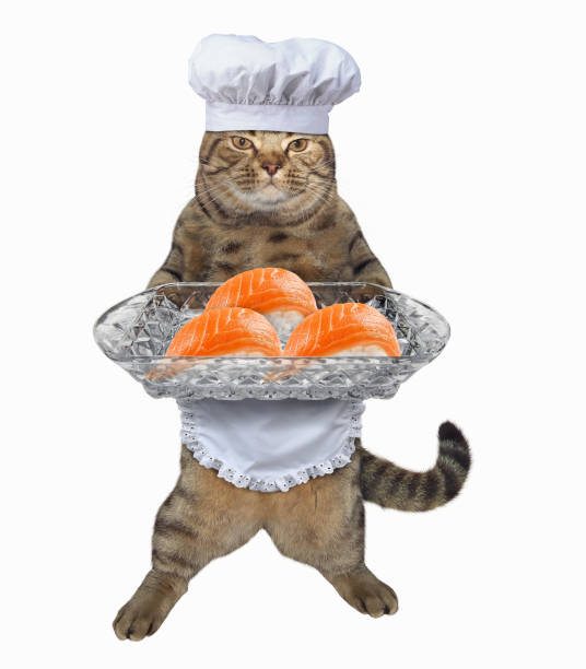 istock Cat cook with a sushi tray 943305410