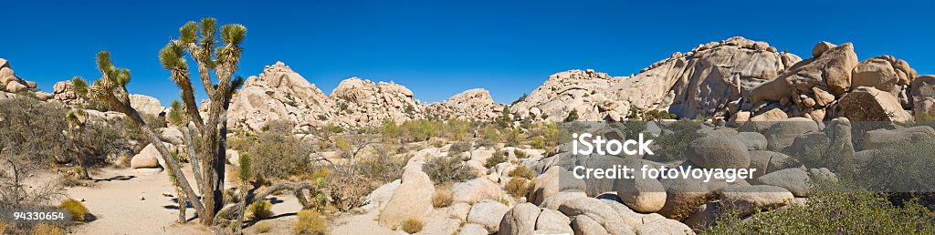 Joshua Tree National Park, EUA - Royalty-free Deserto de Mojave Foto de stock