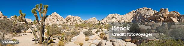 Joshua Tree National Park Eua - Fotografias de stock e mais imagens de Deserto de Mojave - Deserto de Mojave, Ao Ar Livre, Arbusto