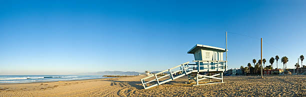 большой синий серфинг, пляж, - palm tree california city of los angeles venice beach стоковые фото и изображения