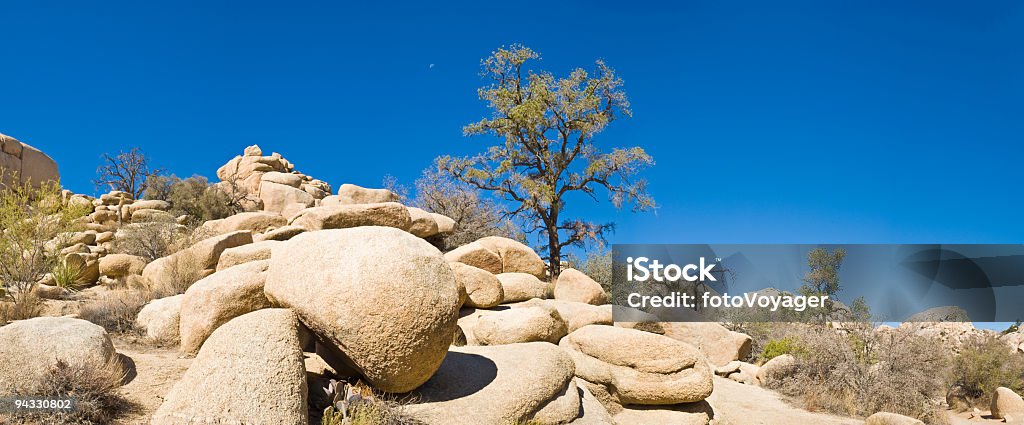 Desert Tree Inside Rocks Desert Tree Moon Rocks Stock Photo - Download Image Now - American ...