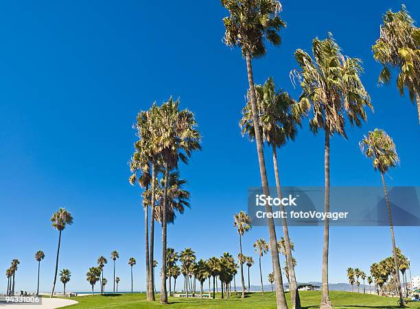 Foto de Praia Blue Palms e mais fotos de stock de Cidade de Los Angeles - Cidade de Los Angeles, Condado de Los Angeles, Praia