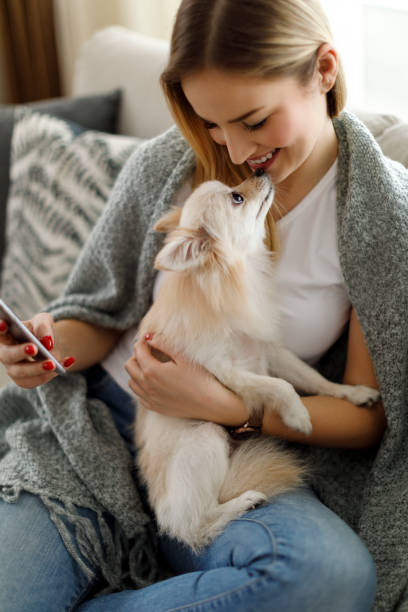 istock Young woman with her dog using mobile phone at home 943315548