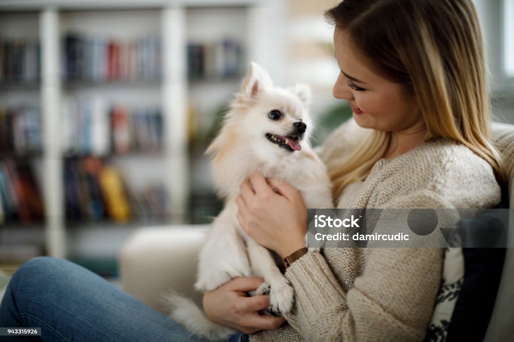 Frau mit ihrem Hund zu Hause entspannen - Lizenzfrei Hund Stock-Foto