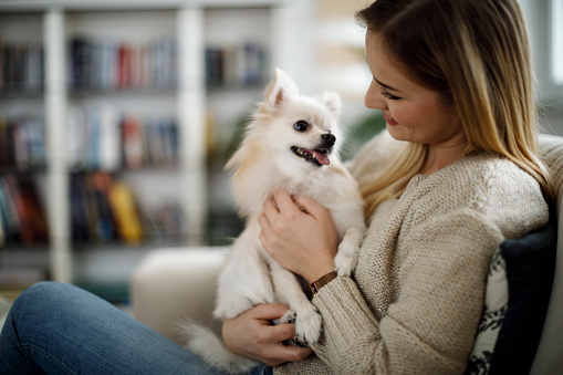 Mujer relajante en casa con su perro photo