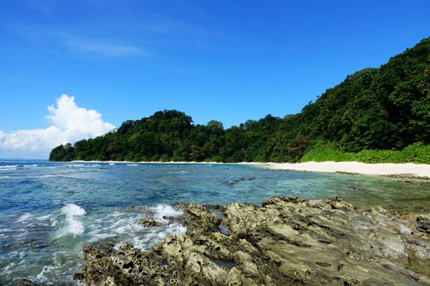 istock Havelock Island, Andaman Island 943322744