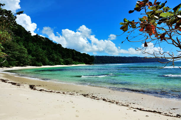 istock Havelock Island, Andaman Island 943322956