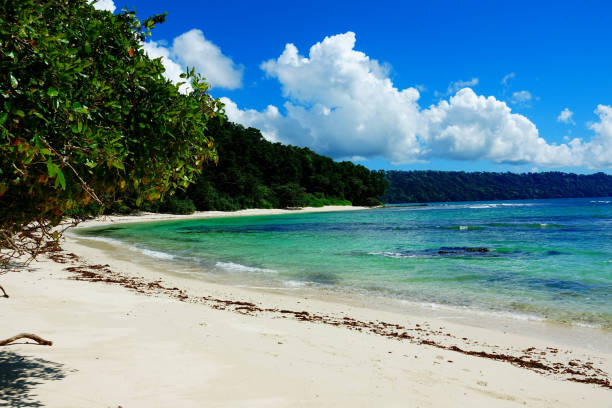istock Havelock Island, Andaman Island 943323074