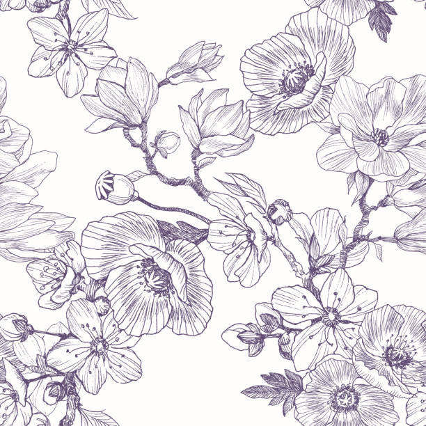 illustrations, cliparts, dessins animés et icônes de modèle sans couture différentes belles fleurs. vintage botanique illustration dessinée à la main. fleurs de printemps de l’arbre de la cerise ou pomme, magnolia, coquelicot - fleur de pavot plante