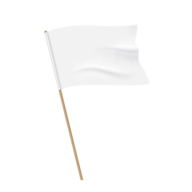 Waving white flag template. White flag with a wooden stick. Clean horizontal waving flag, isolated on background. Vector flag mockup. stick plant part stock illustrations