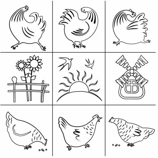 ilustrações, clipart, desenhos animados e ícones de ícones de aves de capoeira quintal-03 - sunflower white background eggs symbol