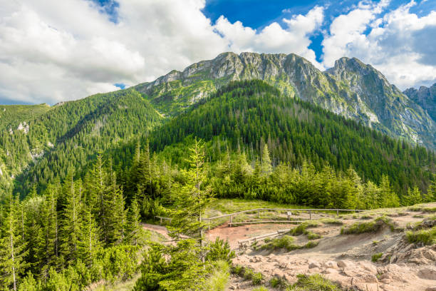 blick auf wanderweg im tatra-gebirge von der spitze des berges, sommer, landschaft, polen - poland mountain tatra mountains giewont stock-fotos und bilder