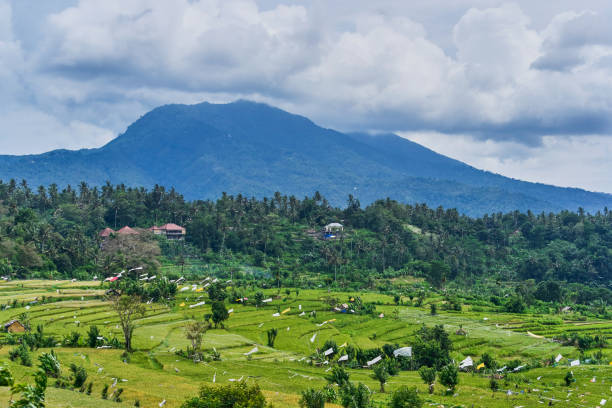 istock Beautiful rice terraces on Bali island, Indonesia 943331268