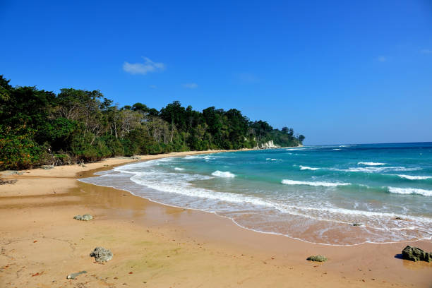 istock Neil Island Andaman Island 943335004