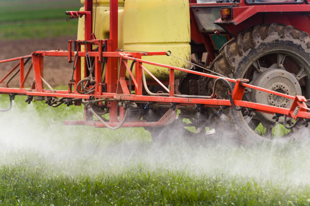 istock Tractor spraying pesticides on wheat field with sprayer at spring 943335166
