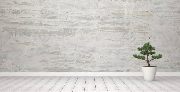 istock Empty living room with plant 943342244