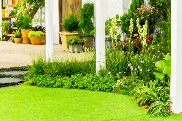 Garden with flowers in the south of France on a sunny day