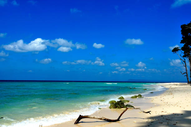 istock Neil Island Andaman Island 943342506