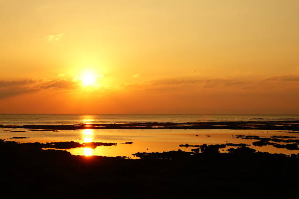 istock Neil Island Andaman Island 943347418