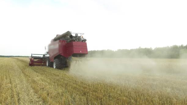 istock Combine harvester. Wheat harvesting shearers. Wheat is harvesting. Harvesting wheat bread agriculture steadicam the shot slow motion video 943355140