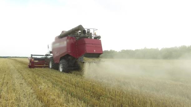 istock Combine harvester. Wheat harvesting shearers. Wheat is harvesting. Harvesting wheat bread agriculture steadicam the shot slow motion video 943355156