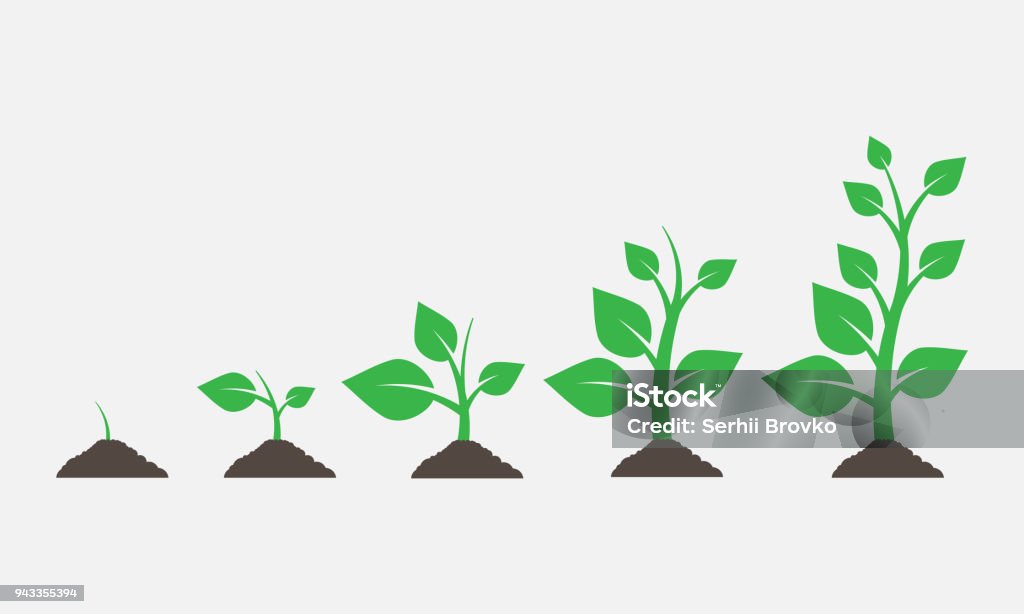 Plants growing in the ground. Vector illustration. Plants growing in the ground. Vector illustration. Eps 10 Growth stock vector