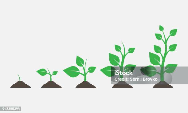 Plants Growing In The Ground Vector Illustration Stock Illustration - Download Image Now - Growth, Plant, Tree