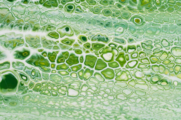 istock Fluid Art. Abstract colorful background, wallpaper. Mixing  paints. Modern art. Marble texture 943358866