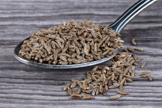 Close-up of spoonful of aromatic caraways on wood. Carum carvi Pile of beautiful dried cumin seeds on the stainless steel spoon partially spilled on harmonic brown-toned background. Great depth of field carum carvi stock pictures, royalty-free photos & images