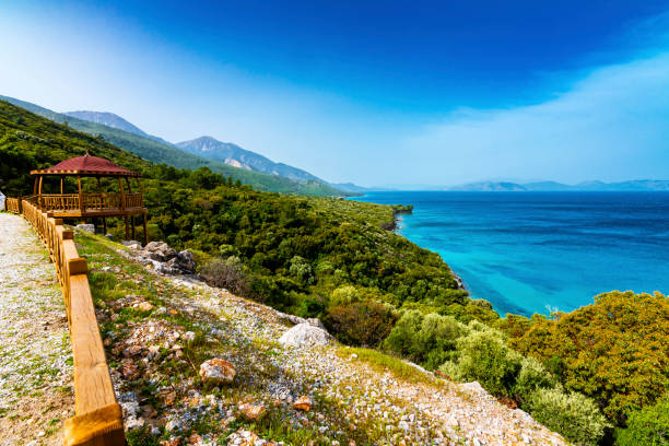 터키에서 쿠 사 다시 - greece blue forest national landmark 뉴스 사진 이미지