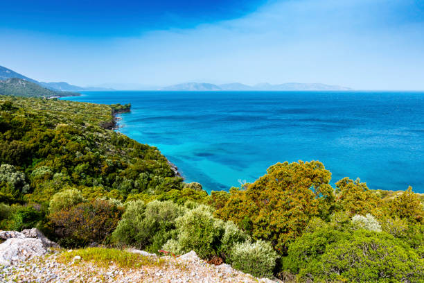 터키에서 쿠 사 다시 - greece blue forest national landmark 뉴스 사진 이미지