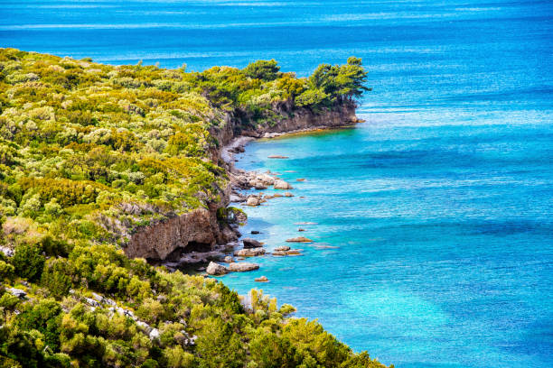 터키에서 쿠 사 다시 - greece blue forest national landmark 뉴스 사진 이미지