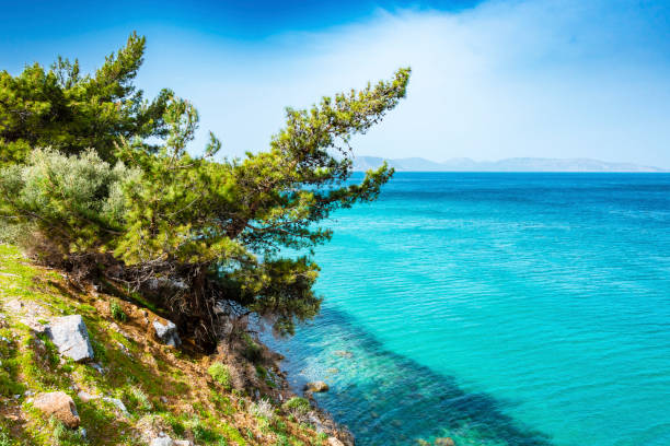 kusadasi in turkey - greece blue forest national landmark imagens e fotografias de stock