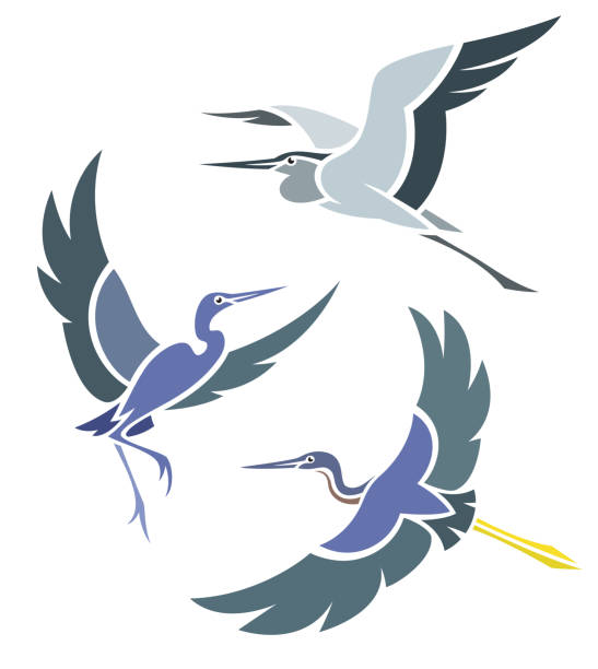 illustrazioni stock, clip art, cartoni animati e icone di tendenza di uccelli stilizzati - bird egret wildlife animal