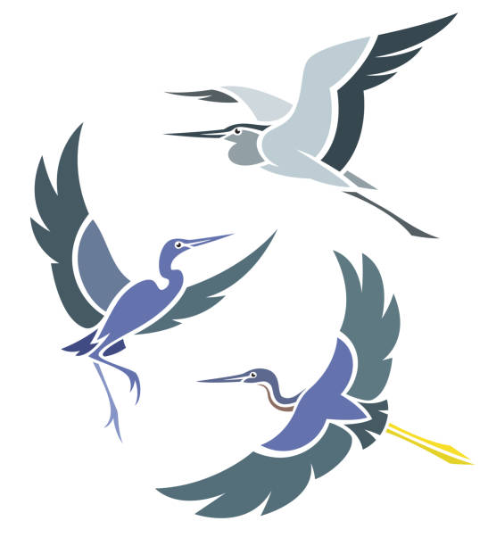 stylizowane ptaki - egret stock illustrations